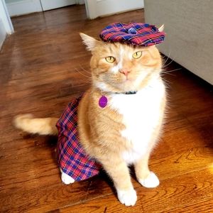 Meet your Posher, Camille